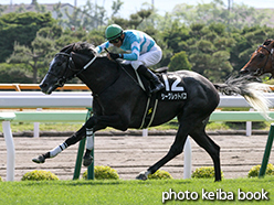 カラープリント(アルミ枠なし)2015年6月20日函館10R 駒ケ岳特別(シークレットパス)