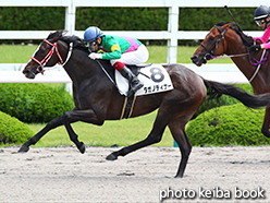 カラープリント(アルミ枠付き)2015年6月21日阪神1R 3歳未勝利(タガノディナー)