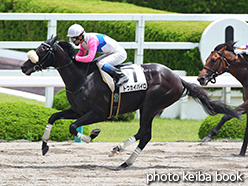 カラーパネル2015年6月21日阪神2R 3歳未勝利(トウカイパイロ)