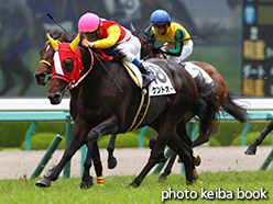 カラーパネル2015年6月21日阪神3R 3歳未勝利(ケントオー)