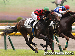 カラーパネル2015年6月21日東京4R 3歳未勝利(クィーンパレット)