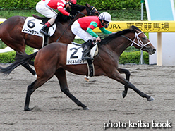 カラープリント(アルミ枠なし)2015年6月21日東京6R 2歳新馬(マイネルバサラ)