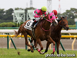 カラーパネル2015年6月21日東京7R 3歳上500万下(ラインハーディー)