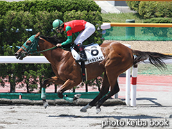 カラープリント(アルミ枠なし)2015年6月21日函館1R 3歳未勝利(マイネルライヒ)