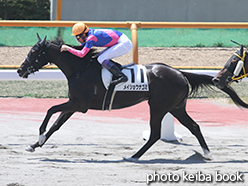 カラーパネル2015年6月21日函館4R 3歳未勝利(メイショウナゴミ)