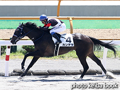 カラープリント(アルミ枠なし)2015年6月21日函館7R 3歳上500万下(カンデラ)