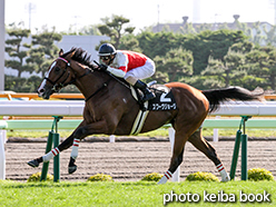 カラープリント(アルミ枠なし)2015年6月21日函館12R 北斗特別(スワーヴジョージ)