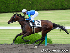 カラープリント(アルミ枠なし)2015年6月27日阪神2R 3歳未勝利(エンパイアブルー)