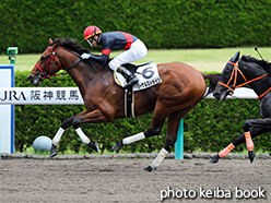 カラープリント(アルミ枠付き)2015年6月27日阪神3R 3歳未勝利(リーサルストライク)