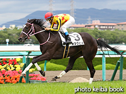 カラープリント(アルミ枠付き)2015年6月27日阪神5R 2歳新馬(オフクヒメ)