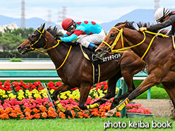 カラーパネル2015年6月27日阪神9R 出石特別(スナッチマインド)