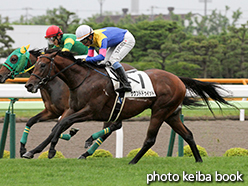 カラーパネル2015年6月27日函館2R 3歳未勝利(サウンドドゥイット)