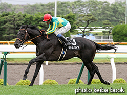 カラープリント(アルミ枠付き)2015年6月27日函館10R 湯川特別(サトノメサイア)