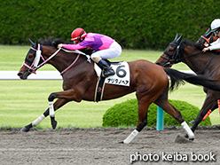 カラープリント(アルミ枠付き)2015年6月28日阪神1R 3歳未勝利(ナリタノヘア)