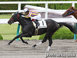 カラーパネル2015年6月28日阪神6R 3歳上500万下(ダイナミックウオー)