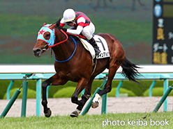 カラープリント(アルミ枠なし)2015年6月28日阪神7R 3歳上500万下(ウインアルザス)