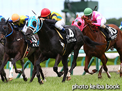 カラープリント(アルミ枠なし)2015年6月28日阪神9R 皆生特別(ヴィクタープライム)