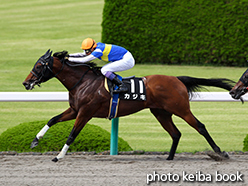 カラープリント(アルミ枠なし)2015年6月28日阪神10R 花のみちステークス(カジキ)