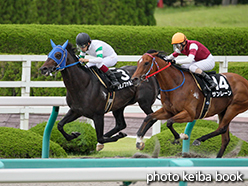 カラープリント(アルミ枠なし)2015年6月28日阪神12R リボン賞(フミノファルコン)