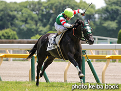 カラーパネル2015年6月28日東京4R 3歳未勝利(ワラッチャオ)