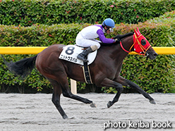 カラープリント(アルミ枠なし)2015年6月28日東京12R 3歳上500万下(ニットウスバル)