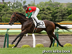 カラープリント(アルミ枠なし)2015年6月28日函館2R 3歳未勝利(マイネルデアデビル)