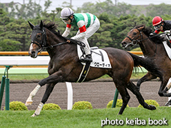 カラープリント(アルミ枠なし)2015年6月28日函館6R 3歳未勝利(クローディオ)