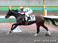 カラープリント(アルミ枠付き)2015年6月28日函館7R 3歳上500万下(ロケットダッシュ)