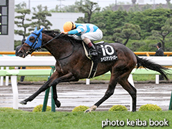 カラープリント(アルミ枠なし)2015年6月28日函館10R 奥尻特別(シベリアンタイガー)