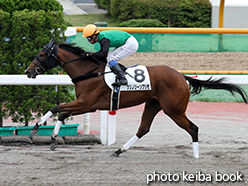 カラープリント(アルミ枠付き)2015年7月4日函館3R 3歳未勝利(クリノリーソクツモ)