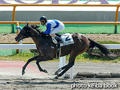 カラープリント(アルミ枠付き)2015年7月4日函館9R 3歳上500万下(スリーアロー)