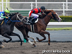 カラーパネル2015年7月5日中京10R 濃尾特別(エクストラゴールド)