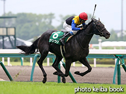 カラーパネル2015年7月5日中京11R CBC賞(ウリウリ)