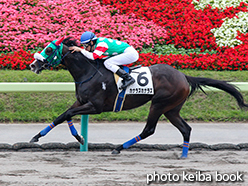 カラーパネル2015年7月5日福島1R 3歳未勝利(カナラズカナラズ)