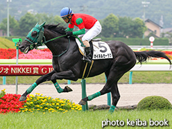 カラーパネル2015年7月5日福島4R 障害未勝利(マイネルゼーラフ)