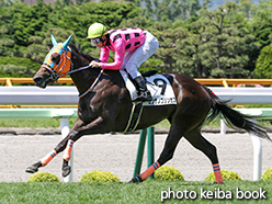 カラープリント(アルミ枠なし)2015年7月5日函館2R 3歳未勝利(ミンナノプリンセス)