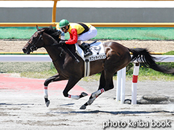 カラーパネル2015年7月5日函館3R 3歳未勝利(カフェライジング)