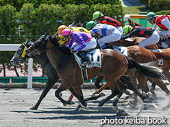 カラープリント(アルミ枠なし)2015年7月5日函館6R 3歳上500万下(リッシンロケット)