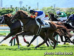 カラープリント(アルミ枠なし)2015年7月5日函館9R 3歳上500万下(トゥインクル)