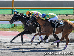 カラーパネル2015年7月5日函館10R 檜山特別(ヒルノデイバロー)