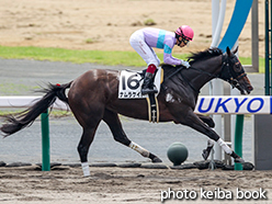 カラープリント(アルミ枠なし)2015年7月11日中京2R 3歳未勝利(ナムラケイト)