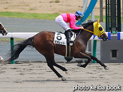 カラープリント(アルミ枠なし)2015年7月11日中京6R 2歳新馬(ゴブレット)