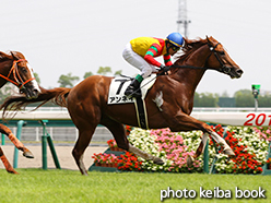 カラープリント(アルミ枠付き)2015年7月11日中京7R 3歳未勝利(アンネイ)