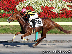 カラープリント(アルミ枠なし)2015年7月11日福島12R 3歳上500万下(ドラゴンゲート)