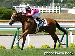 カラーパネル2015年7月11日函館1R 2歳未勝利(メジェルダ)