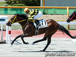 カラープリント(アルミ枠なし)2015年7月11日函館2R 3歳未勝利(ノーブルクリスタル)