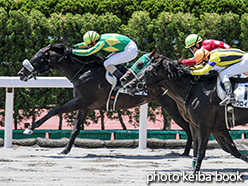 カラープリント(アルミ枠なし)2015年7月11日函館4R 3歳未勝利(サトノコスミック)