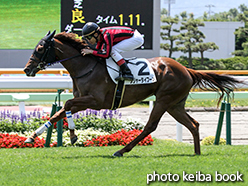 カラープリント(アルミ枠なし)2015年7月11日函館5R 2歳新馬(メジャータイフーン)