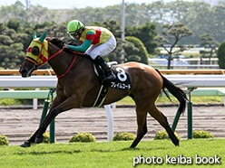 カラープリント(アルミ枠付き)2015年7月11日函館11R 五稜郭ステークス(フレイムコード)