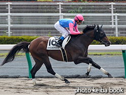 カラープリント(アルミ枠付き)2015年7月12日中京2R 3歳未勝利(メイショウナガマサ)